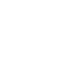 Mike Ryan Webstore logo